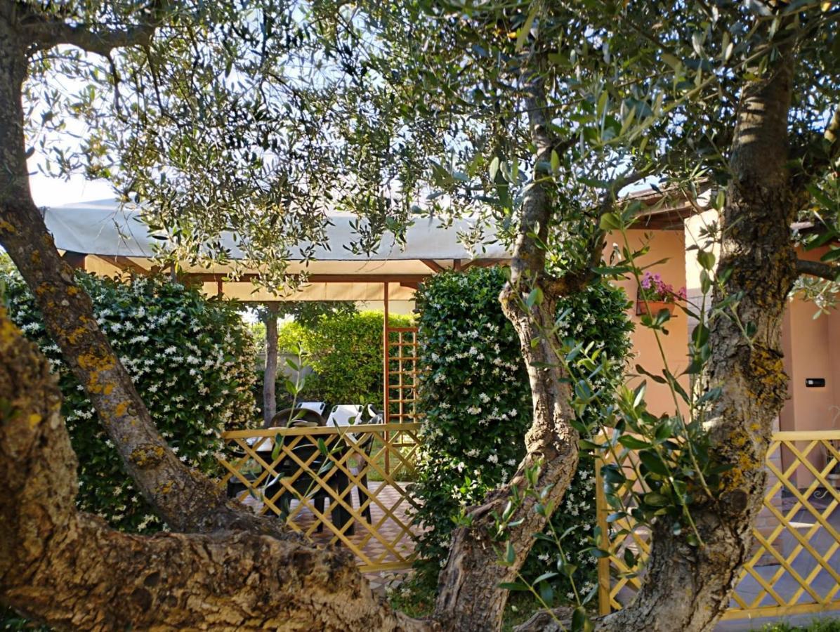 Melody House - Dependance Villa Castel del Bosco  Екстериор снимка